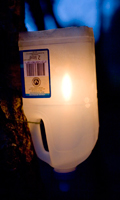 Milk Bottle Lamp