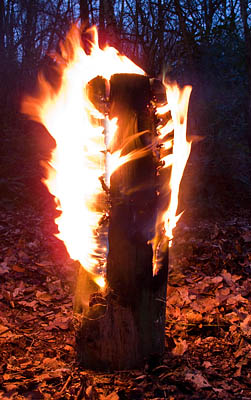 Fire Log lit and starting to catch. - ©  Gary Waidson - Ravenlore Bushcraft and Wilderness skills.