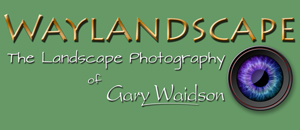 Waylandscape